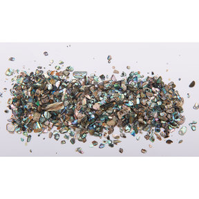 Paua Abalone Inlay Material - Medium - 2 oz