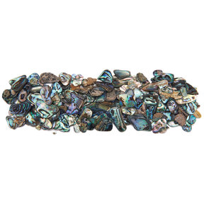 Paua Abalone Inlay Material - Large - 2 oz