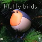 Fluffy birds